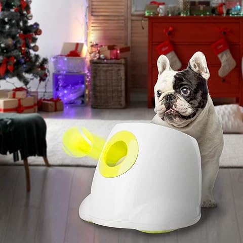 Automatic Dog Ball Launcher – Interactive Play