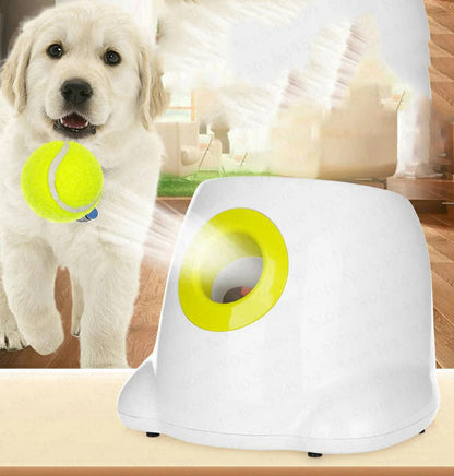 Automatic Dog Ball Launcher – Interactive Play