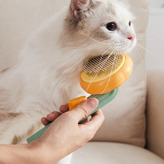 Pumpkin Pet Brush, Self Cleaning Slicker Brush