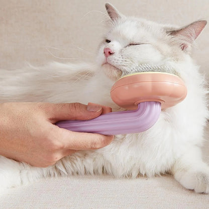 Pumpkin Pet Brush, Self Cleaning Slicker Brush